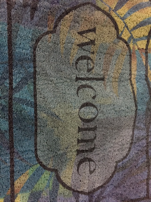 Photo 1 of "welcome" mat 