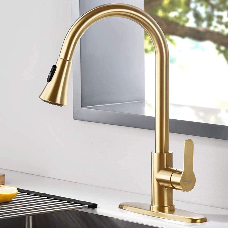 Photo 1 of AMAZING FORCE Gold Kitchen Faucet Modern Pull Out Kitchen Faucets Stainless Steel Single Handle Kitchen Sink Faucet with Pull Down Sprayer