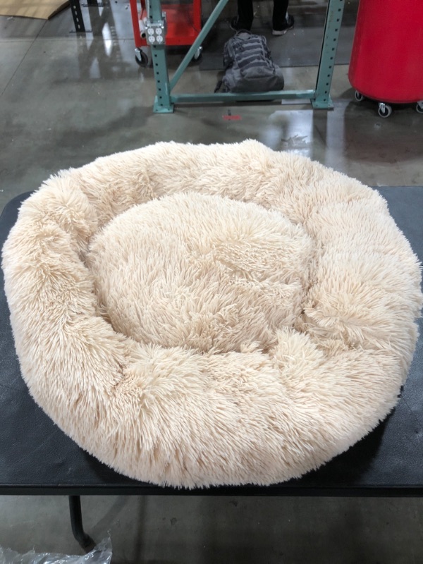 Photo 2 of Active Pets Plush Calming Dog Bed, Donut Dog Bed for Small Dogs, Medium & Large, Anti Anxiety Dog Bed, Soft Fuzzy Calming Bed for Dogs & Cats, Comfy Cat Bed, Marshmallow Cuddler Nest Calming Pet Bed
PHOTO FOR REFERENCE. COLOR IS CREAM/TAN. PRIOR USE.