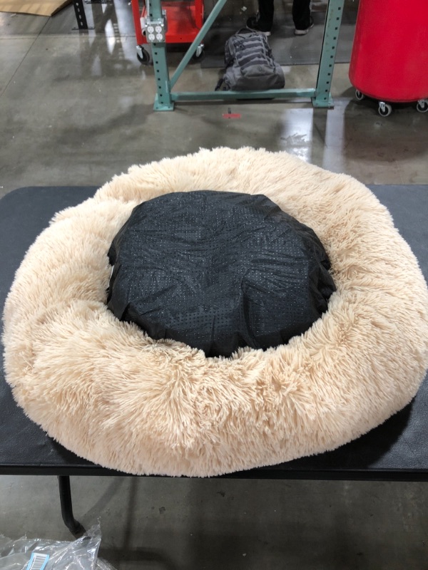 Photo 3 of Active Pets Plush Calming Dog Bed, Donut Dog Bed for Small Dogs, Medium & Large, Anti Anxiety Dog Bed, Soft Fuzzy Calming Bed for Dogs & Cats, Comfy Cat Bed, Marshmallow Cuddler Nest Calming Pet Bed
PHOTO FOR REFERENCE. COLOR IS CREAM/TAN. PRIOR USE.