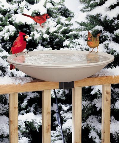 Photo 1 of API Heated Birdbath Heated Bird Bath with Mounting Hardware (Item No. 600)
