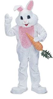 Photo 1 of Costume Super Deluxe Plush Rabbit Costume