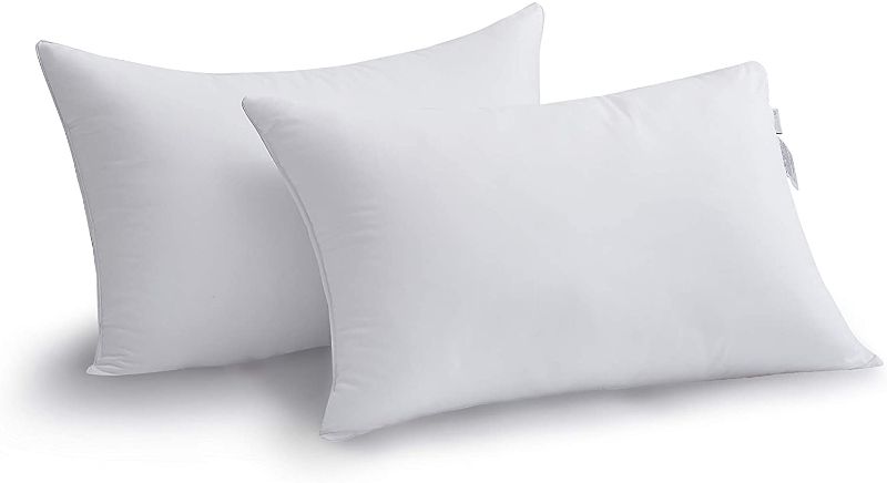 Photo 1 of Acanva Bed Pillows 2 Pack Hotel Collection Luxury Soft Inserts for Sleeping-Breathable and Comfortable for Stomach Back Sleepers,