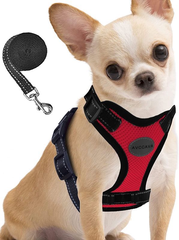 Photo 1 of AVCCAVA Dog Harness - Soft Mesh Breathable Dog Vest Harnesses for Puppies and Small Dogs, Cat Harness and Leash for Control Walking, Easy Adjustable Reflective Kitten Escape Proof Harnesses
