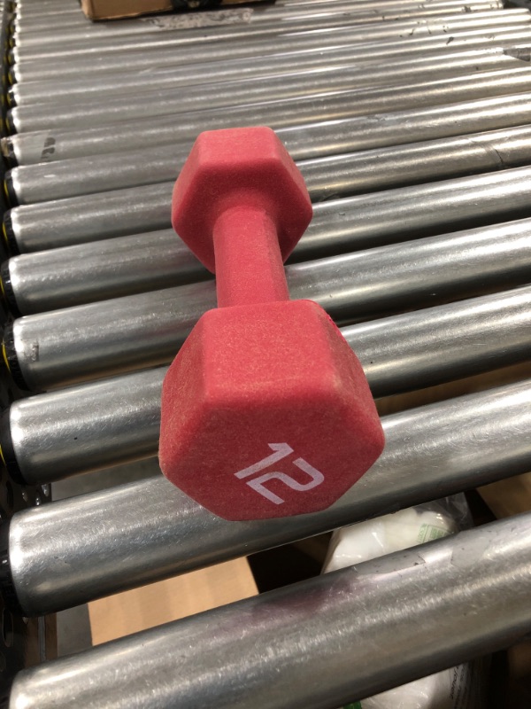 Photo 1 of 12 LB DUMBBELL 