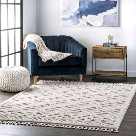 Photo 1 of Beige Shaggy Lattice Tassel 6' 7" x 9' Area Rug
