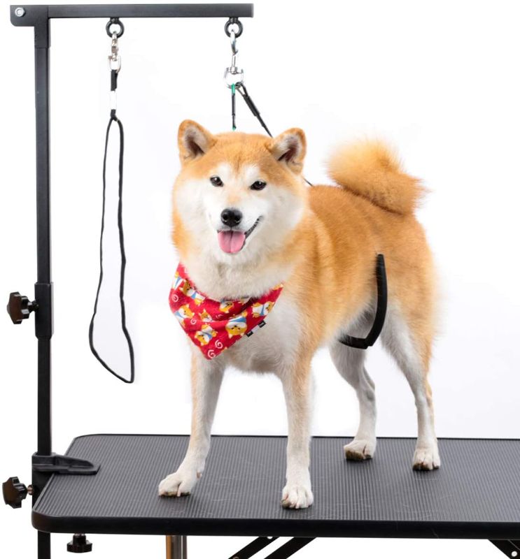 Photo 1 of Breeze Touch Dog Grooming Table Arm - Loop Noose, No Sit Haunch Holder Grooming Restraint for Small & Medium Dogs
