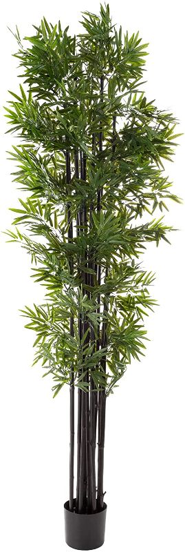 Photo 1 of Artificial Bamboo Tree – 72-Inch Faux Potted Plant with Black Trunks and Natural Feel Leaves - Realistic Indoor Home or Office Décor by Pure Garden