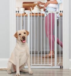 Photo 1 of Regalo Easy Step Extra Tall Walk-Through Gate

