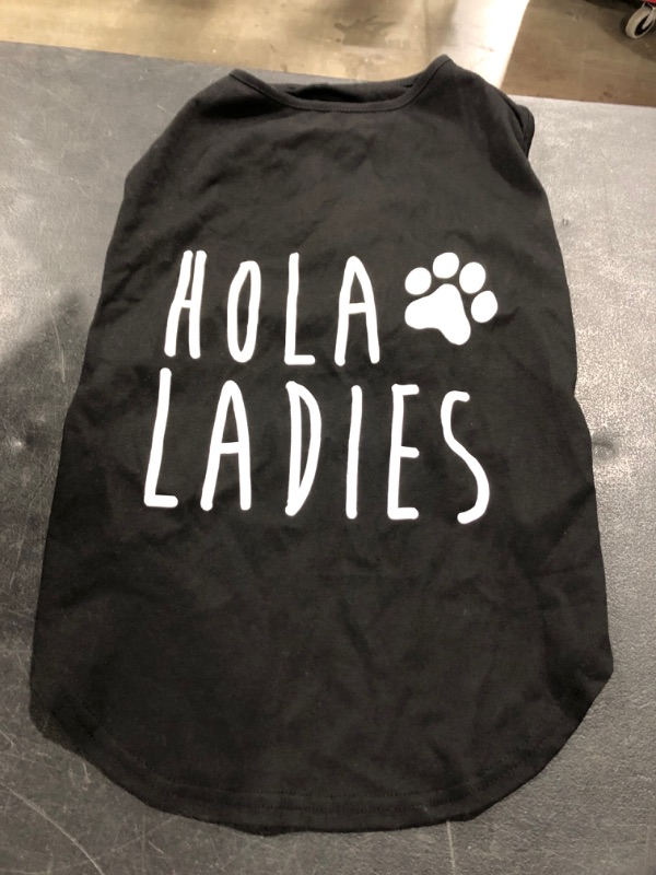 Photo 2 of Large Dogs Black Funny Clothing Hola Ladies Summer Apparel