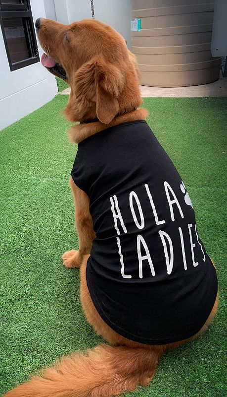 Photo 1 of Large Dogs Black Funny Clothing Hola Ladies Summer Apparel