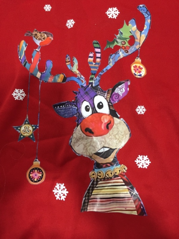 Photo 1 of Red Kid's Reindeer Crewneck (S)