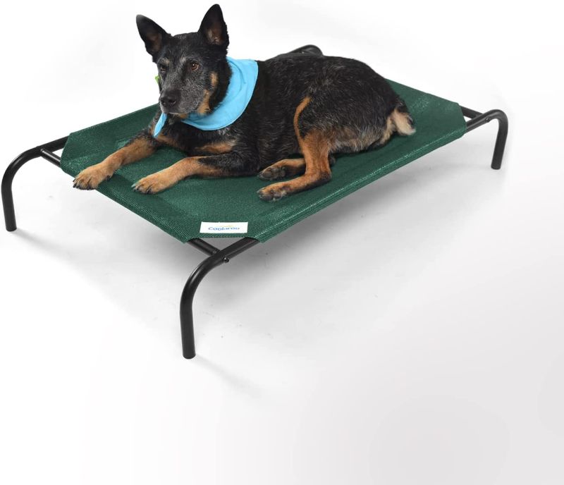 Photo 1 of Coolaroo The Original Cooling Elevated Pet Bed, size M
