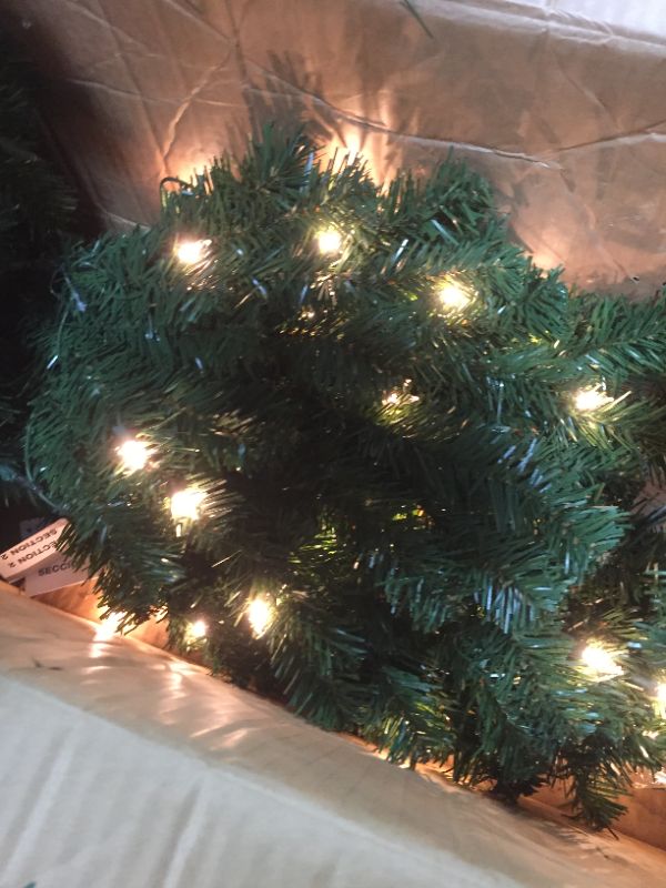 Photo 3 of National Tree North Valley(R) Spruce Pencil Slim Tree with Clear Lights-Size:6 Ft