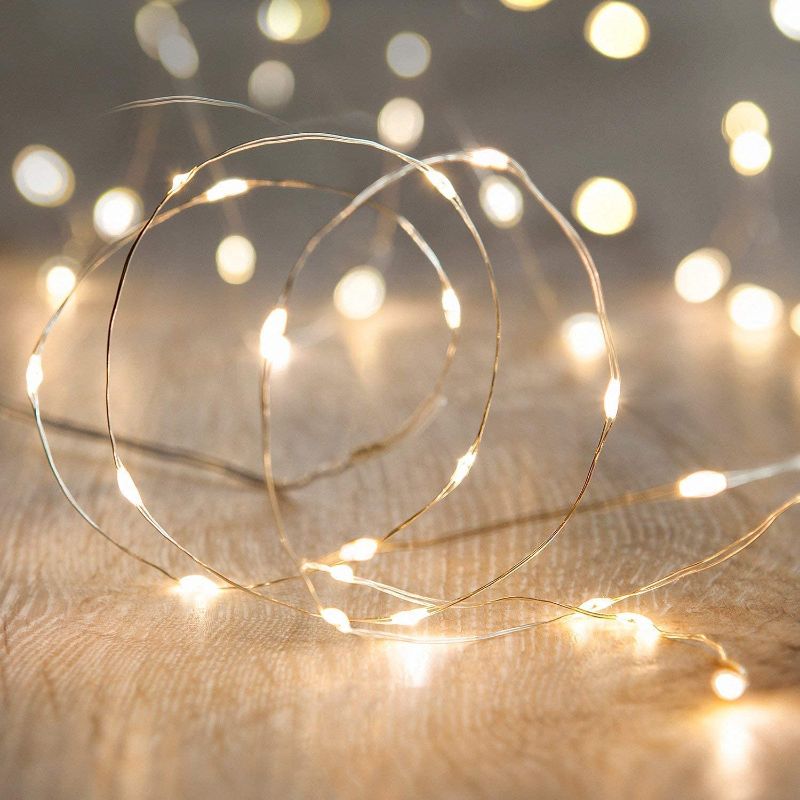 Photo 1 of 2pk LED Fairy String Lights,ANJAYLIA 10Ft/3M 30leds Firefly String Lights Garden Home Party Wedding Festival Decorations Crafting Battery Operated Lights(Warm White)
