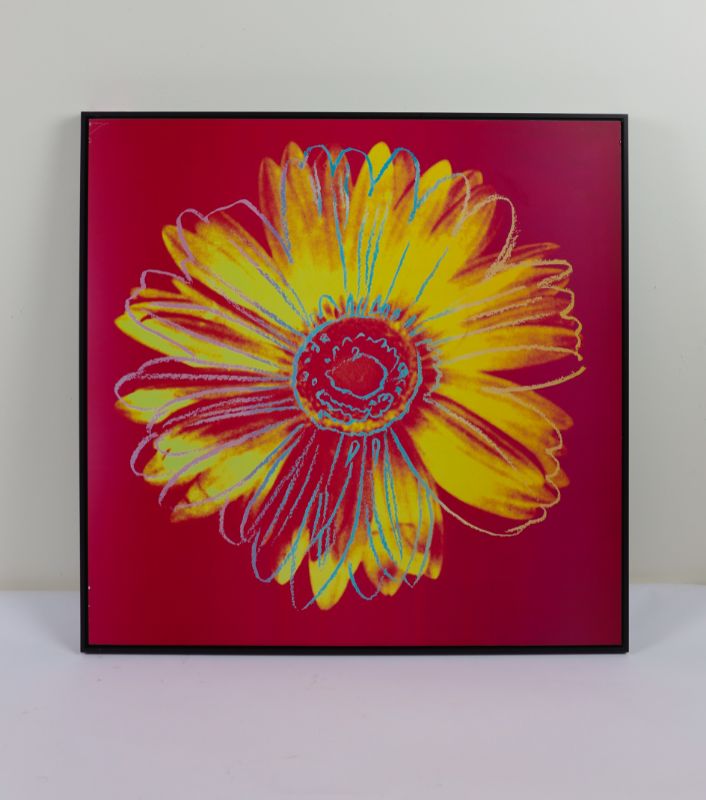 Photo 1 of Andy Wrahole Daisy Crimson and Pink APPROX. 34 X 34 Inches