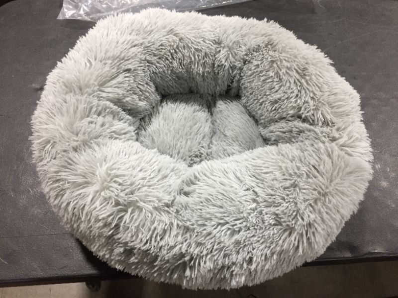 Photo 1 of 22 inch Blue Dog Bed 