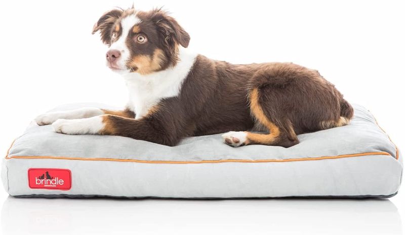 Photo 1 of Brindle Shredded Memory Foam Dog Bed with Removable Washable Cover-Plush Orthopedic Pet Bed
