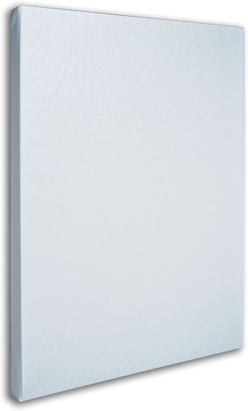 Photo 1 of Blank White Canvas  35 by 47-Inch