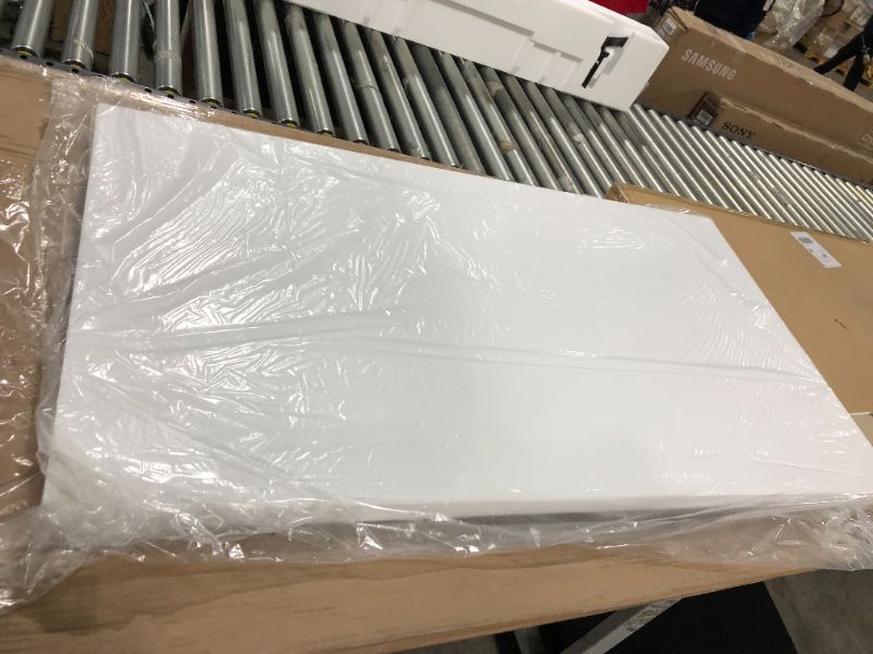Photo 1 of BLANK CANVAS 26x47"
