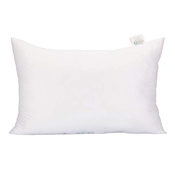 Photo 1 of Acanva Bed Sleeping Extra-Soft Sham Pillow Insert, Standard 20x26, White
