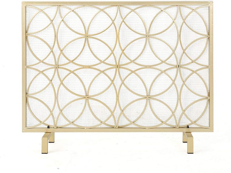 Photo 1 of Christopher Knight Home Valeno Single Panel Iron Fireplace Screen, Gold
