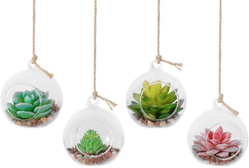 Photo 1 of 12 Pack Hanging Glass Globe Air Planter Terrarium Vase with 39 inch Sling (Not Included The Plants)