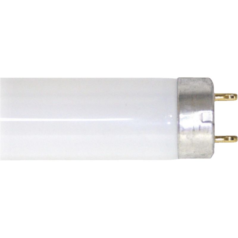 Photo 1 of 30w 3' T8 Cw Fluor Tube [pack of 8]