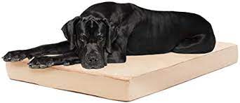 Photo 1 of Barkbox Memory Foam Platform Dog Bed, Plush Mattress for Orthopedic Joint Relief, Machine Washable Cuddler with Removable Cover and Water-Resistant Lining, Includes Squeaker Toy--- xxl
