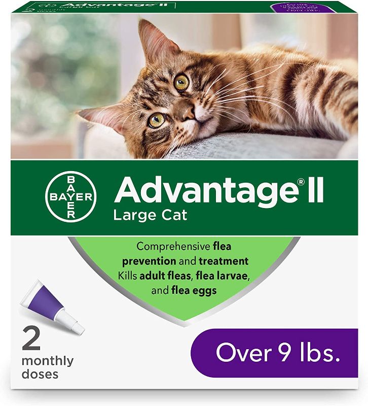 Photo 1 of Advantage II Flea Prevention and Treatment for Large Cats, Over 9 Pounds
,