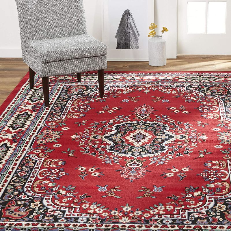 Photo 1 of Home Dynamix Premium Sakarya Traditional Medallion Border Area Rug, Claret, 9'2"x12'5" Rectangle