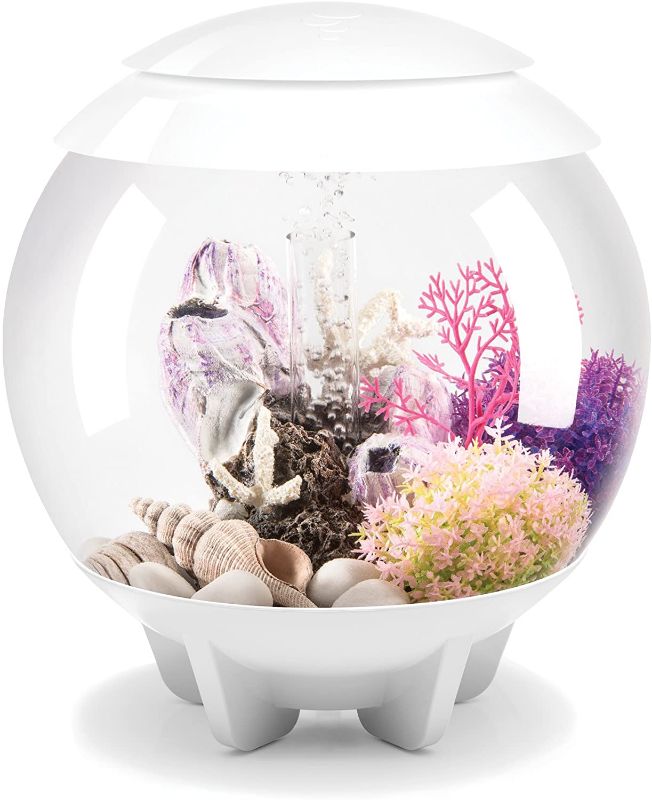 Photo 1 of biOrb Halo Aquarium