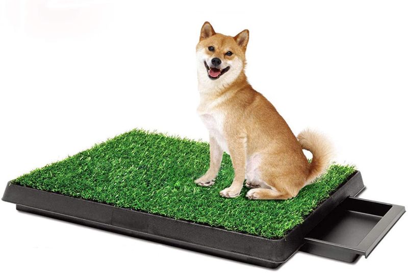 Photo 1 of CDHPET Pet Potty Dog Grass Pee Potty Pad,Artificial Grass for Dogs Potty,Portable Potty Trainer with Tray (20"x25")
