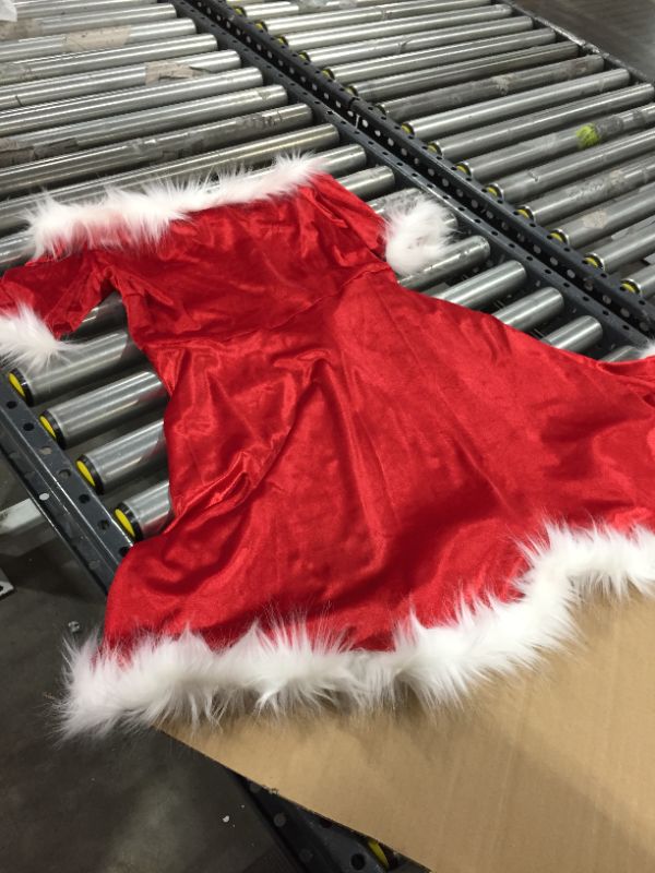 Photo 1 of Womens Santa Claus Costume 