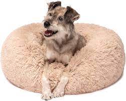 Photo 1 of 34" tan donut bed for pets 