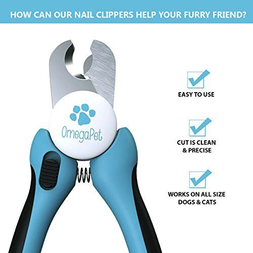 Photo 1 of  Dog Nail Clippers