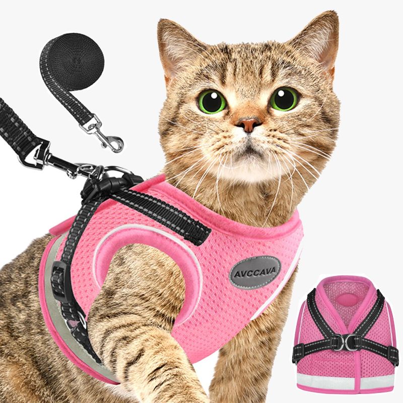 Photo 1 of AVCCAVA Cat Harness and Leash for Walking, Kitten Escape Proof Harnesses, Adjustable Reflective Puppy Vest Harness with Leashes Set, Easy Adjustable Soft net Breathable Pet Safety Jacket
SMALL 