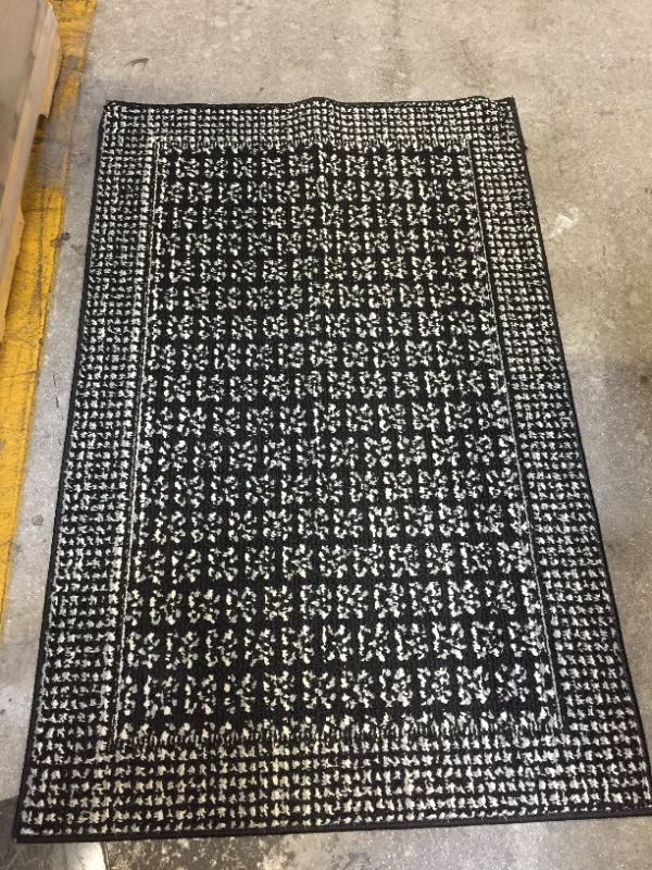 Photo 1 of Area Rug 4x2