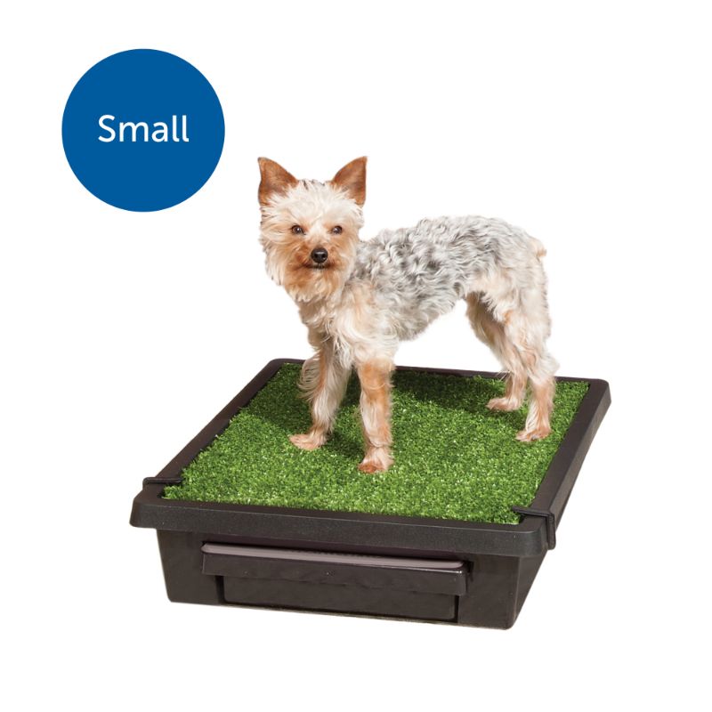 Photo 1 of Pet Loo Indoor Yard Training System for Dogs, Small, Green, 20.75 x 17 x 4.5 inches