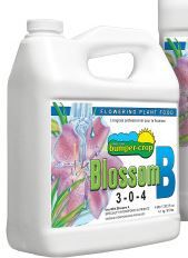 Photo 1 of Bumper Crop, BLOSSOM B 3-0-4, 4L