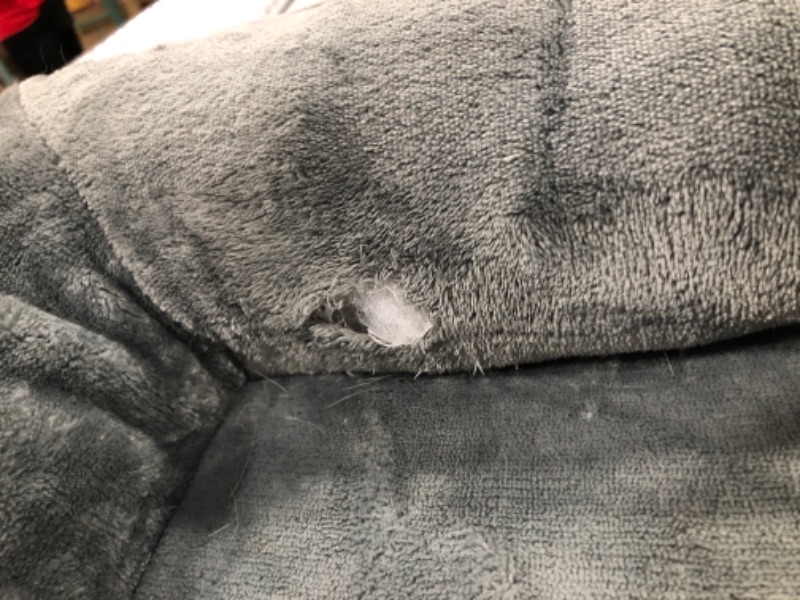 Photo 1 of Dog bed gray M 