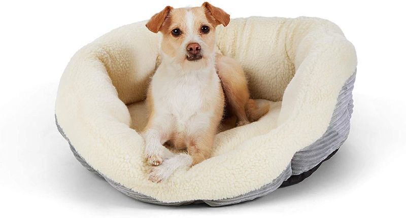 Photo 1 of Amazon Basics Warming Pet Bed For Cats or Dogs
