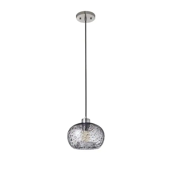 Photo 1 of 9 in. W x 6 in. H 1-Light Silver Rustic Seeded Hand Blown Glass Pendant Light with Clear Glass Shade