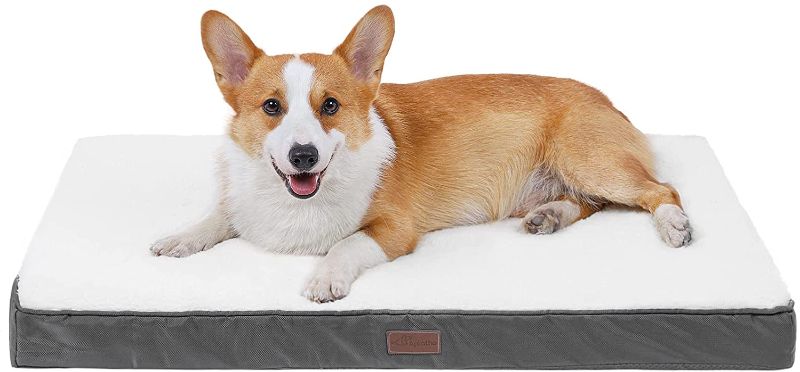 Photo 1 of Aplatho Memory Foam Dog Bed, Dog Mat for Medium Large Dogs, Orthopedic Egg Crate Pet Bed Mattress with Removable Washable and Wear Resistant Cover and Nonskid Bottom
