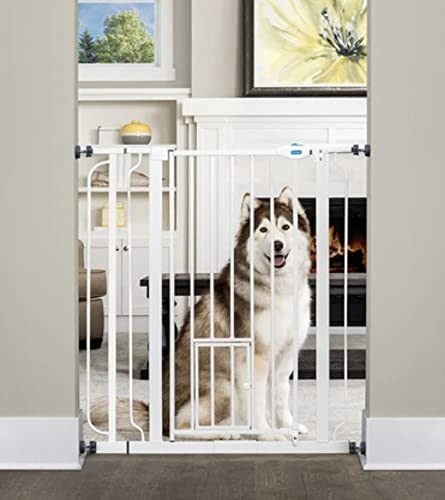 Photo 1 of Carlson Extra Tall Walk Through Pet Gate with Small Pet Door, Includes 4-Inch Extension Kit, 4 Pack Pressure Mount Kit and 4 Pack Wall Mount Kit