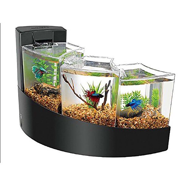 Photo 1 of Betta Falls Aquarium Kit Black 16.93x10
