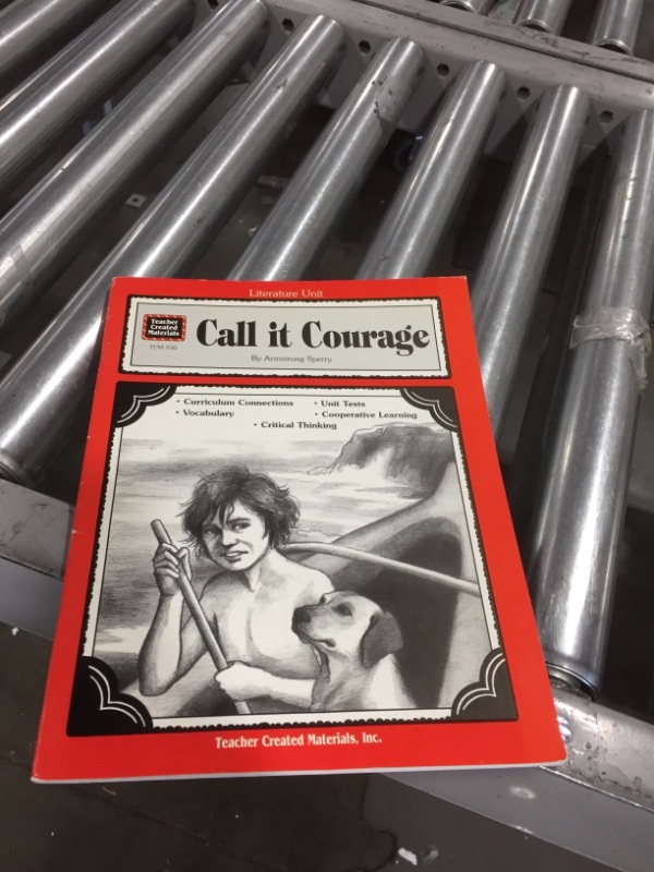 Photo 2 of A Guide for Using Call It Courage in the Classroom