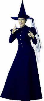 Photo 1 of InCharacter Wretched Witch Adult Costume--- XL
