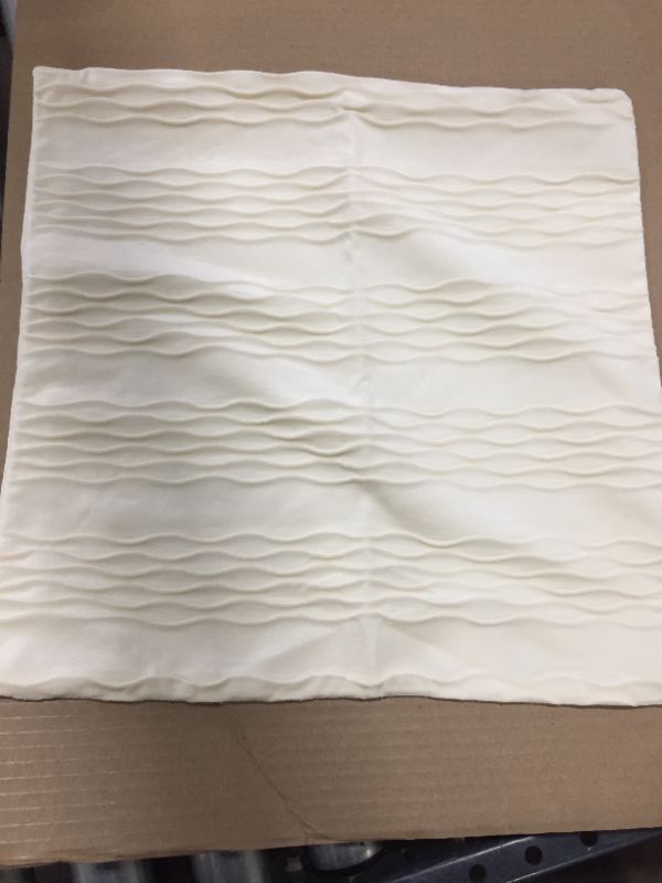 Photo 1 of 2 Pillow Case Inserts