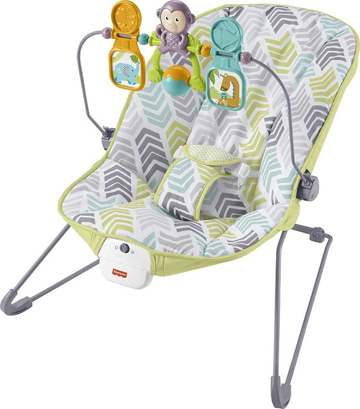 Photo 1 of Fisher-Price Baby Bouncer, Arrow Dynamic